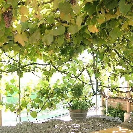 招待所 Maison D'hotes Du Domaine Des Roses
